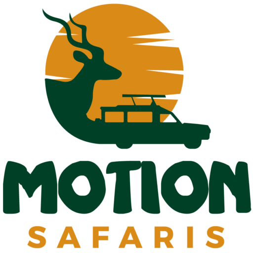 Safari Tours in Uganda